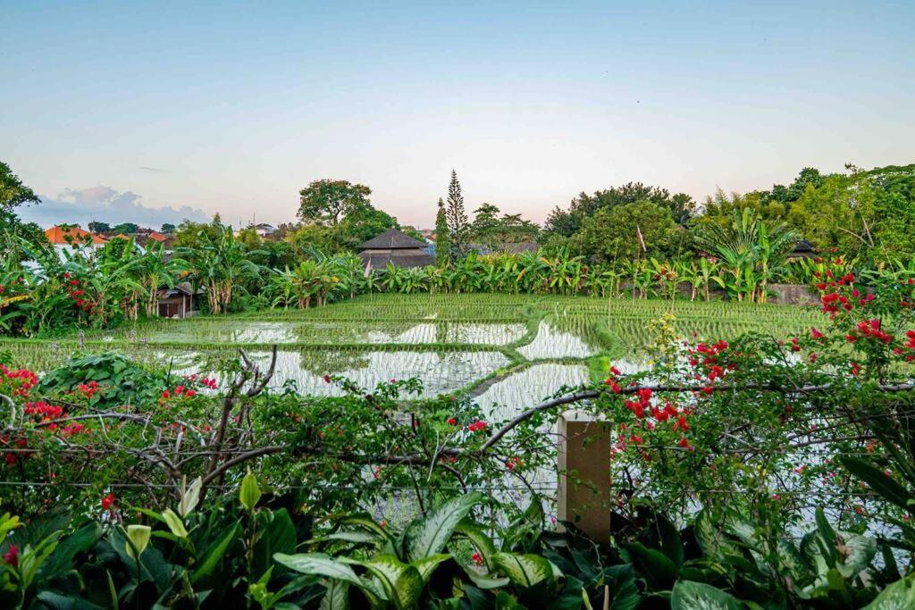 تْشانغو Villa Mimpi Nyata المظهر الخارجي الصورة