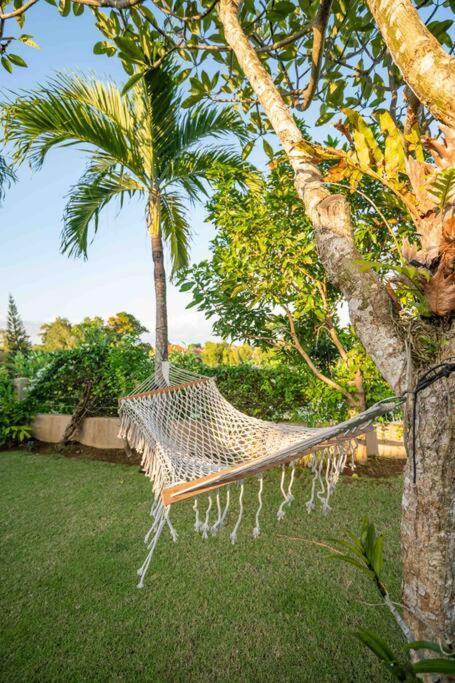 تْشانغو Villa Mimpi Nyata المظهر الخارجي الصورة